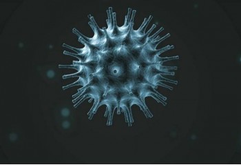 コロナウィルスは熱に弱い？！誤報が多く、いまだ未確認なようです。