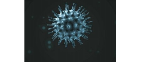 コロナウィルスは熱に弱い？！誤報が多く、いまだ未確認なようです。