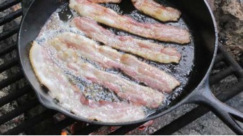 豚の細胞培養「人工ベーコン」の試験提供開始　どんな味？