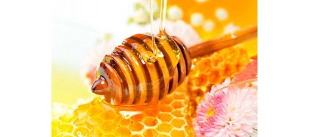 「ハチミツは市販薬や抗生物質よりも風邪に効く」との研究結果