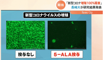 新型コロナを日本酒、ワインで100％で阻害が出来る