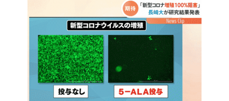 新型コロナを日本酒、ワインで100%で阻害が出来る