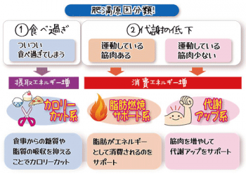ゼニカルだけじゃない自分に合ったダイエットサプリを見つけよう