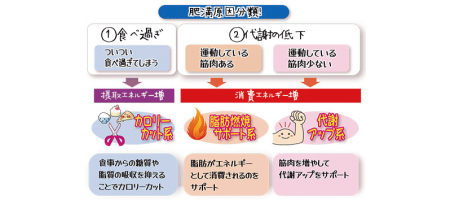 ゼニカルだけじゃない自分に合ったダイエットサプリを見つけよう