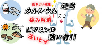 簡単な運動で膝の痛みを予防-サプリで骨を強化