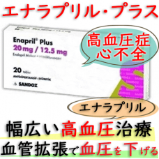 エナラプリル・プラス(Enapril・Plus) 12.5mg/20錠|高血圧症や心不全の治療および予防薬