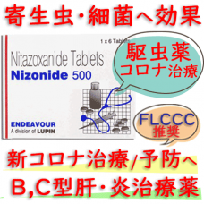 ニゾニド (Nizonide) 500mg 1シート6錠 Lupin社│寄生生物による食中毒などに使用されます。（箱なし）