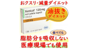 ゼニカル(Xenical) 120mg 【1箱42カプセル】ロシュ社│脂肪吸収を阻害する肥満治療薬
